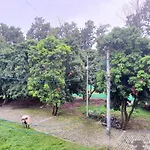 Nature View Homestay