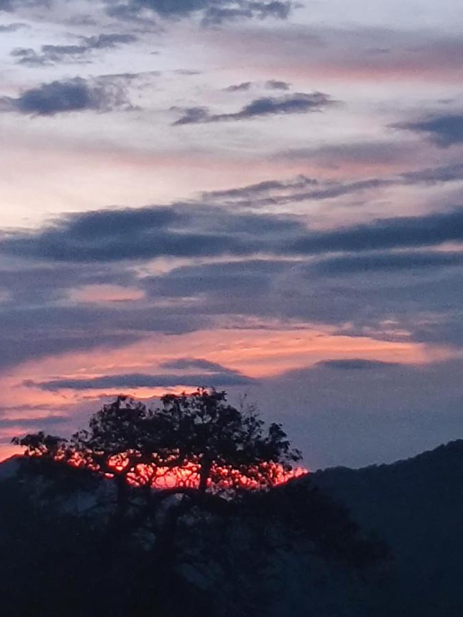 Chalet Chateau De Tatli - Hilltop - Dehradun