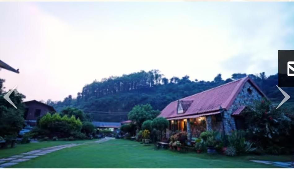 Hotel Stone