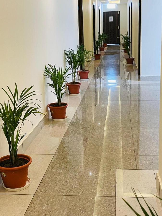Hive 3* Dehradun
