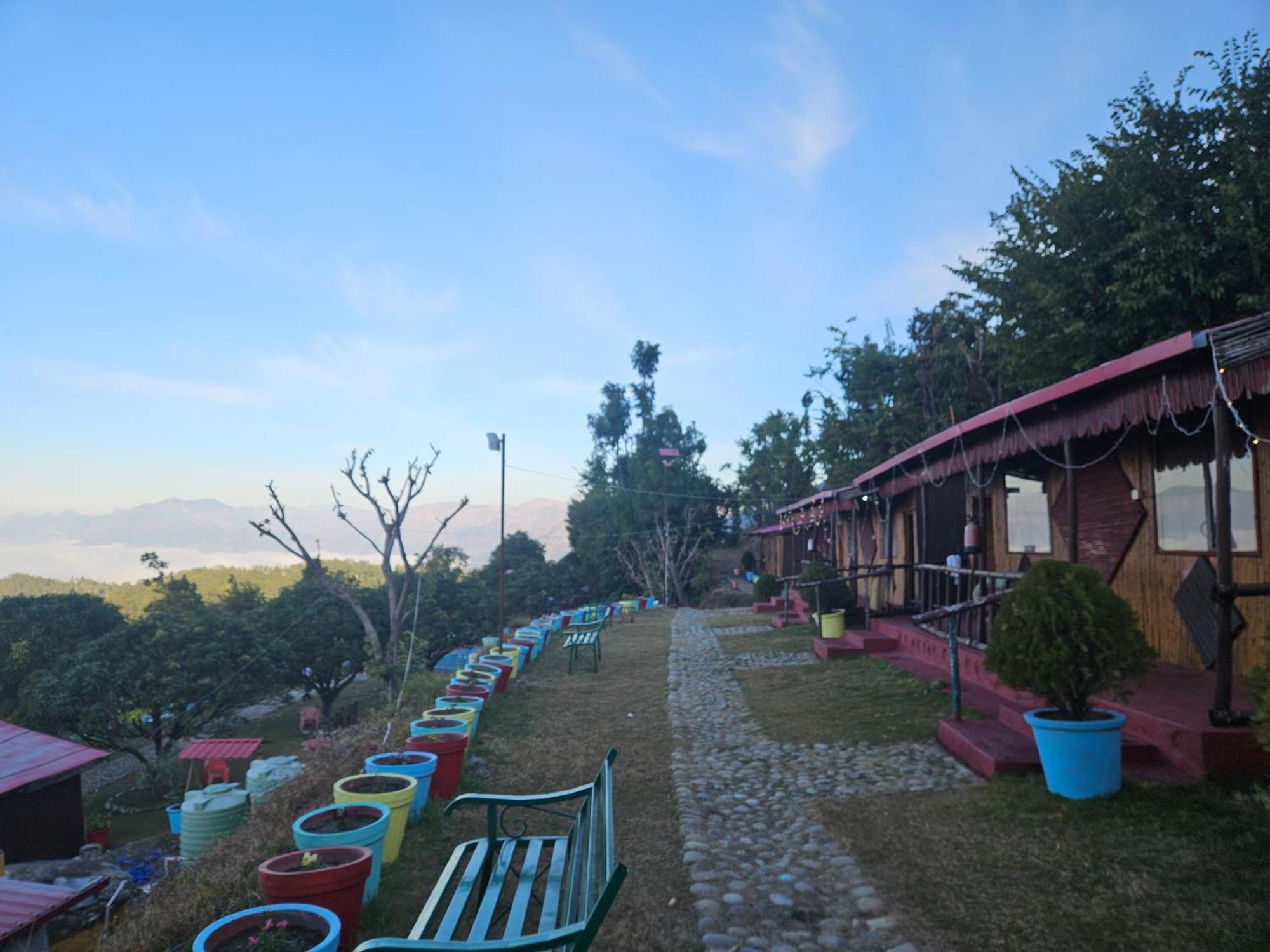 Forest Bliss * Dehradun