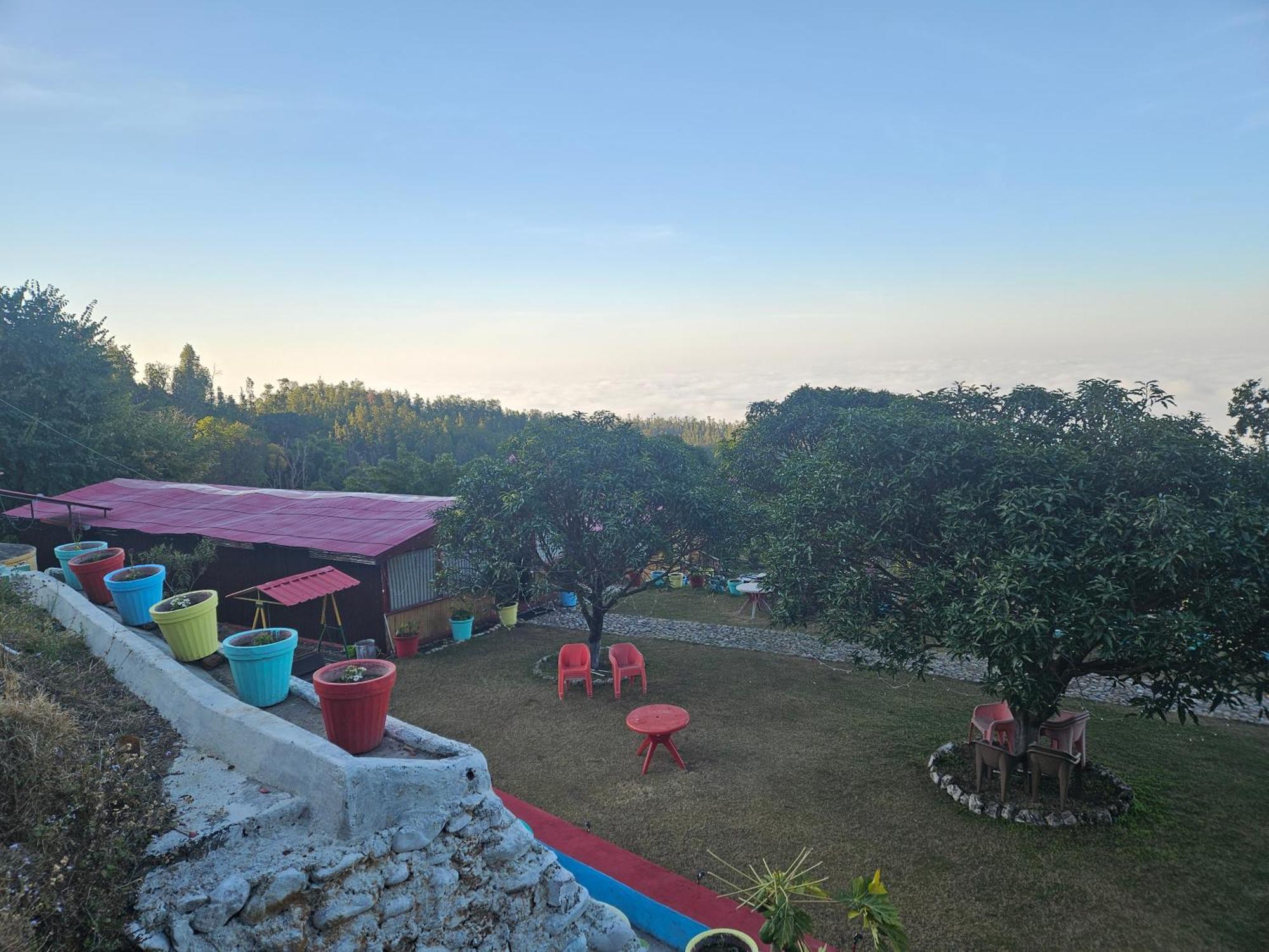 Forest Bliss Resort *