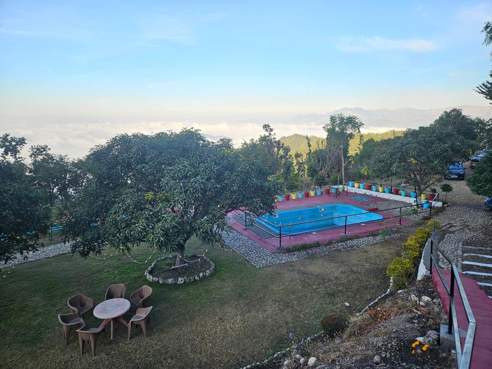 Resort Forest Bliss