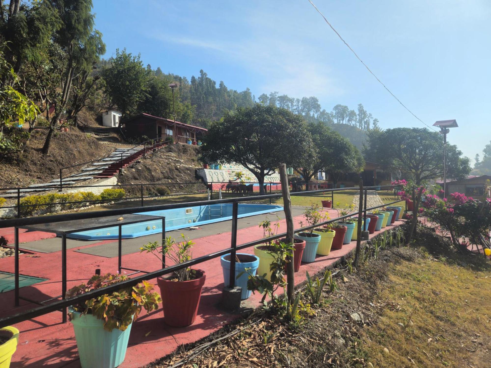 Resort Forest Bliss *